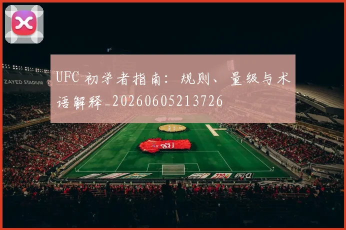 UFC 初学者指南：规则、量级与术语解释_20260605213726