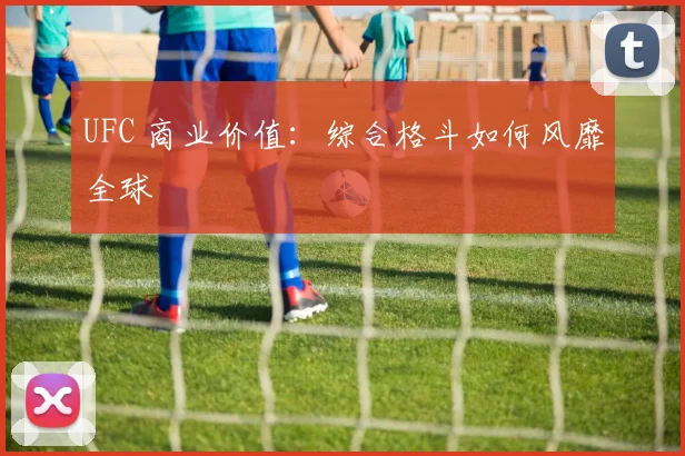 UFC 商业价值：综合格斗如何风靡全球