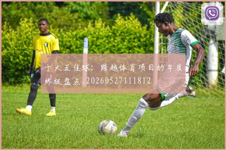 十大五佳球：跨越体育项目的年度终极盘点_20260527111812